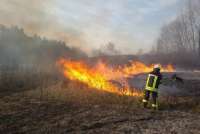 В Хакасии ветер способствовал развитию 30 пожаров