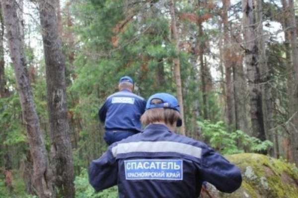 В лесу Минусинского района всю ночь искали мужчину и ребёнка