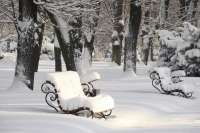 Декабрь на юге края и в Хакасии будет снежным