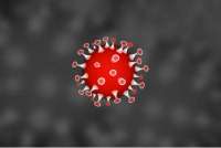 В Хакасии коронавирус выявлен еще у 25 жителей