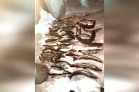 Житель Курагинского района незаконно наловил рыбы на 180 тысяч рублей