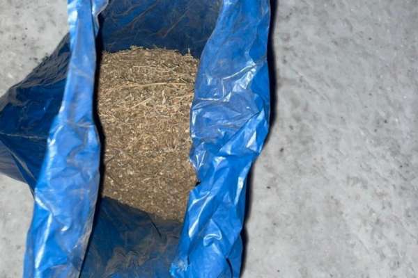 Житель Хакасии собирал наркотик недалеко от места проживания