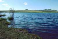 В Хакасии из искусственных водоемов Майны в Енисей попадает зараженная вода