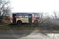 В Минусинске автобус врезался в поваленное дерево