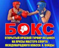 В Минусинске стартует краевой турнир по боксу