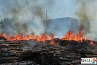 Пожар в Зеленом Бору тушат с помощью вертолета и пожарного поезда