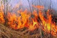 Саяногорск накрыло дымом из-за пала сухой травы
