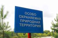 Заповедник в столице края: в Красноярске почти 6 га земли признали особо охраняемой природной территорией