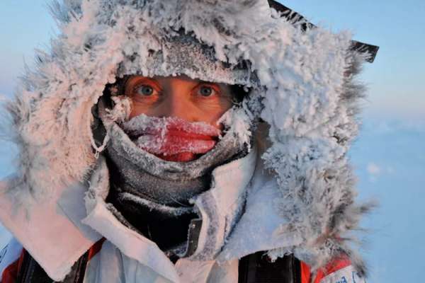 В День полярника в Красноярскстате рассказали о жителях Арктики