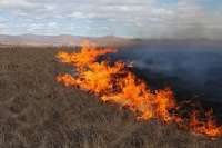 В Минусинске растет опасность весенних пожаров: огнеборцы напоминают об ответственности