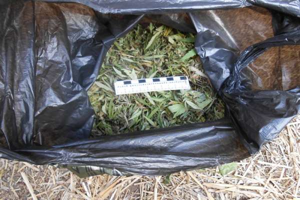 Житель Минусинска использовал садовый инвентарь для хранения наркотиков