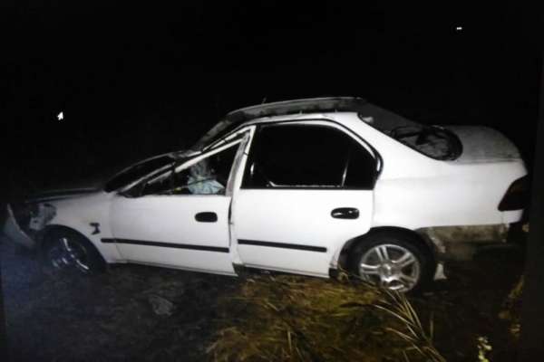 В Красноярском крае автомобиль врезался в лося, двое человек погибли