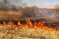В Хакасии мусор и трава горели 16 раз