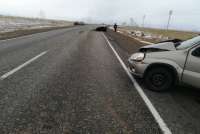 В Хакасии водитель сбил лошадь: машина вдребезги, животное погибло