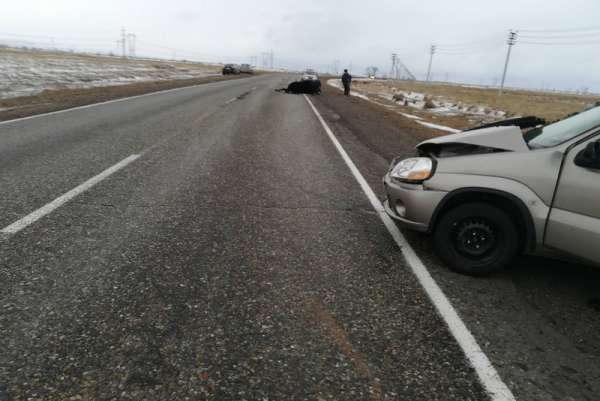 В Хакасии водитель сбил лошадь: машина вдребезги, животное погибло