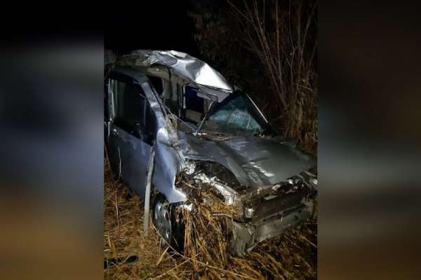 Дорожная авария под Ачинском унесла жизнь водителя и дикого животного