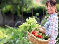 Молодые огородники не останутся без наград на Дне минусинского помидора