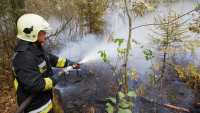 В Ермаковском и Шушенском районах продолжают полыхать лесные пожары