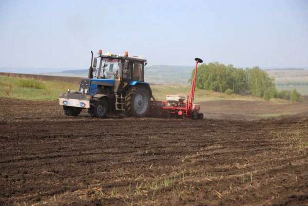Аграрии Красноярского края перевыполнили план по посадке картофеля и овощей