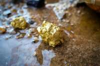 Житель Хакасии нелегально добыл золота на 29 млн рублей