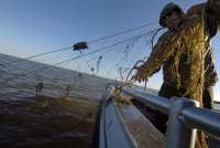 В Хакасии рыбаки-браконьеры выплатили 700 тысяч рублей штрафа