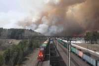 В Минусинском районе выгорело 15 гектаров леса