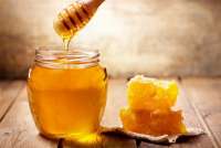 Японцы попробуют сибирский мед из Красноярского края