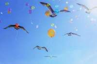 Экологи Тувы призывают отказаться от воздушных шаров
