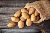 В России сохраняются предпосылки дефицита картофеля и его подорожание
