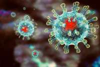 В Тыве коронавирусом заразилось уже более 6 тысяч человек