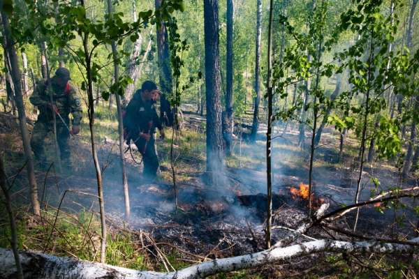 В Хакасии горит лес: введён режим ЧС