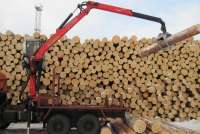 Красноярский край отправил на экспорт 1,2 млн кубометров лесопродукции