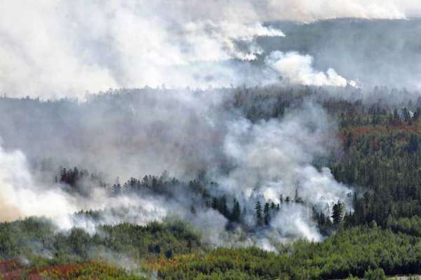 В Красноярском крае по факту лесных пожаров возбуждено уголовное дело
