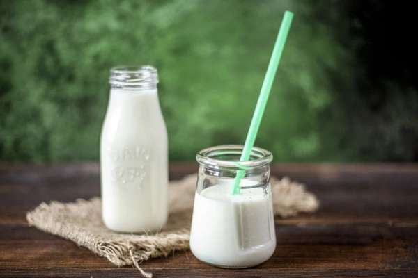 Красноярские эксперты признали «правильным» молоко из Хакасии