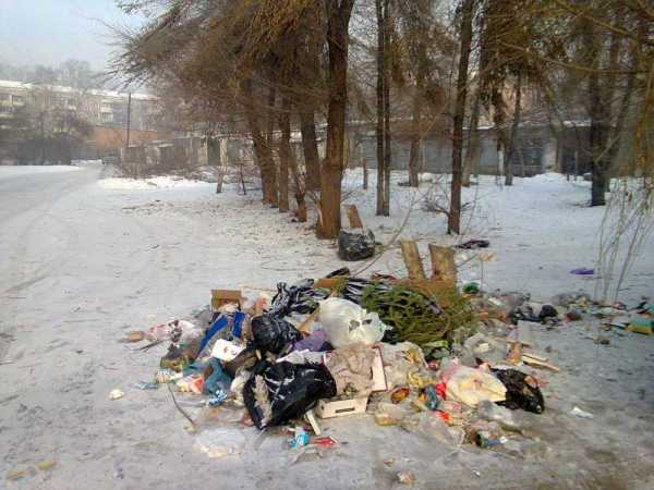 Администрацию Минусинска оштрафовали за стихийные свалки