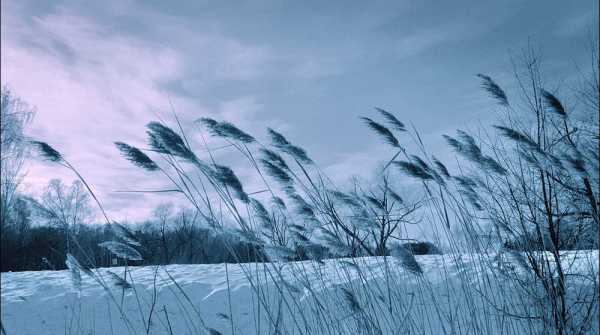 Вслед за порывистым ветром в Минусинск придут сильные морозы