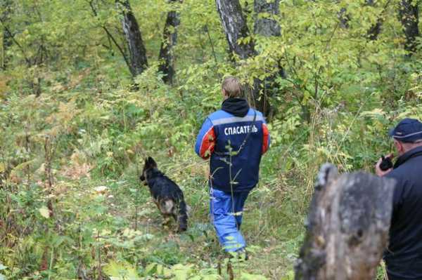 Под Минусинском соберутся десятки спасателей с собаками