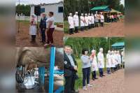 В Минусинском районе прошел конкурс операторов машинного доения коров