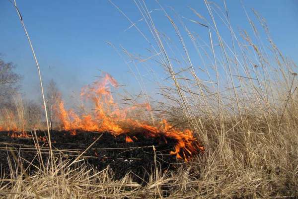 Хакасия продолжает гореть: ежесуточное количество пожаров не снижается