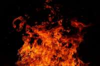 В Хакасии огонь уничтожил КФХ: сгорело более 700 овец