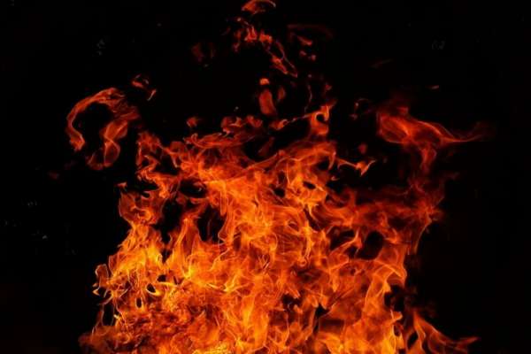 В Хакасии огонь уничтожил КФХ: сгорело более 700 овец