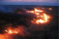 В Хакасии вновь всплеск пожаров