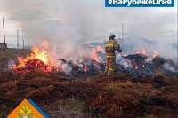 В Хакасии пожар уничтожил около 5 тонн сена