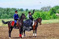 Гостей Краснотуранска приглашают на конно-спортивный праздник