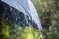 В Минусинске прогнозируются долговременные дожди