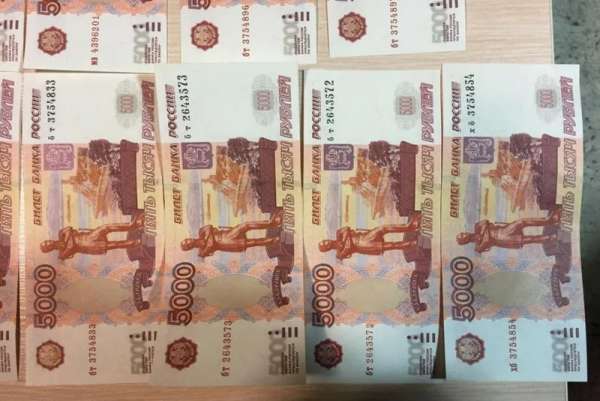 В Красноярске супружеская пара хотела пополнить семейный бюджет сбытом фальшивых денег