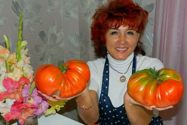 Жительница Минусинска стала призером всероссийского интернет-конкурса за блог о помидорах