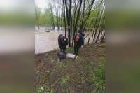 В Ермаковском районе спасены двое собирателей черемши