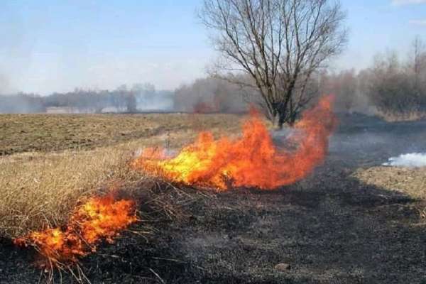 В регионах Сибири начались ландшафтные пожары