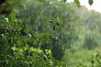 Жителей юга края предупреждают: август ожидается дождливым